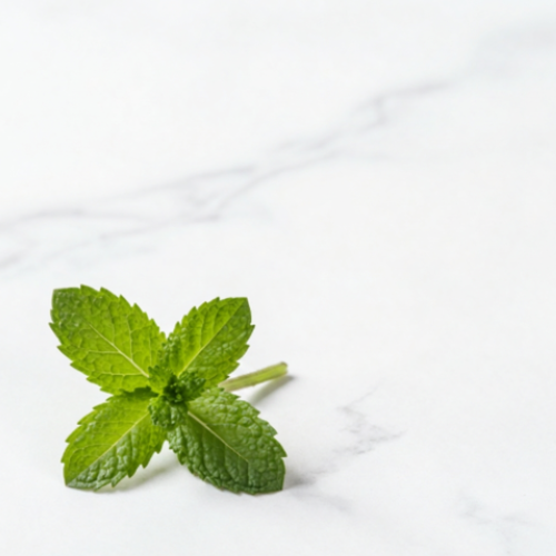 Mint Leaf Oil